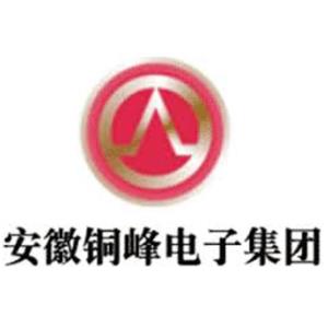 安徽铜峰电子股份有限公司